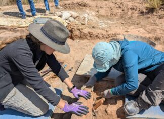 Foto de un momento de los trabajos arqueológicos realizados en El Castillar en 2024. Créditos: Proyecto Arqueológico Poblado de El Castillar.
