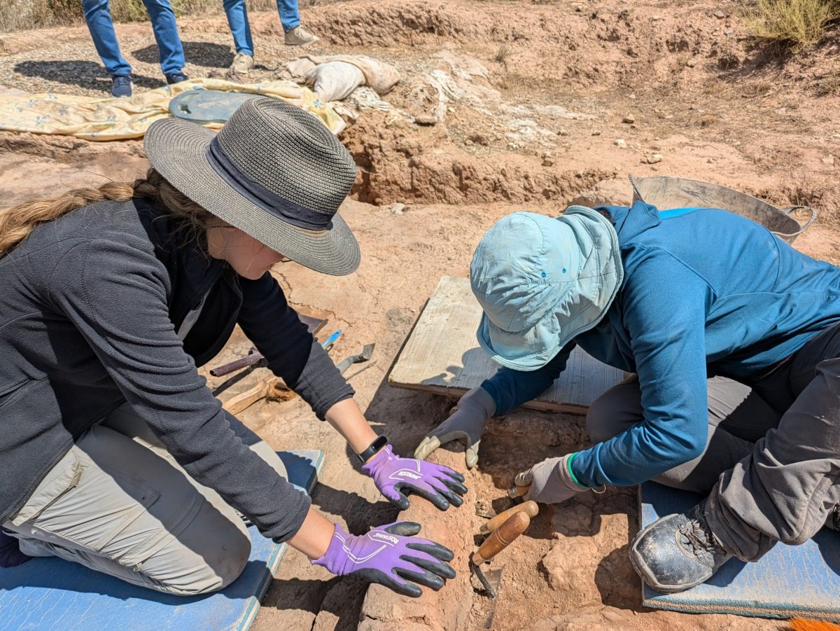 Foto de un momento de los trabajos arqueológicos realizados en El Castillar en 2024. Créditos: Proyecto Arqueológico Poblado de El Castillar.