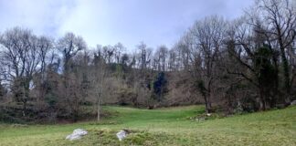 Una de las terrazas del Castichu de Tiós. Foto A. Fanjul Peraza.