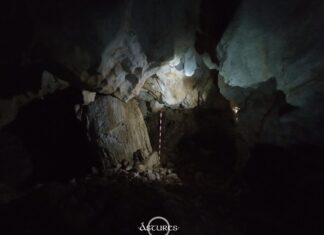 Sima de la Cerrosa. Suarías, Asturias.