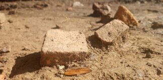 Fragmentos de suelo en una vivienda de Lucus Asturum. Excavaciones de 2023.