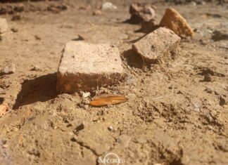 Fragmentos de suelo en una vivienda de Lucus Asturum. Excavaciones de 2023.