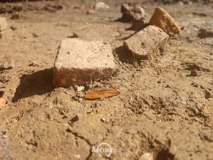 Fragmentos de suelo en una vivienda de Lucus Asturum. Excavaciones de 2023. Fragmentos de suelo en una vivienda de Lucus Asturum. Excavaciones de 2023.