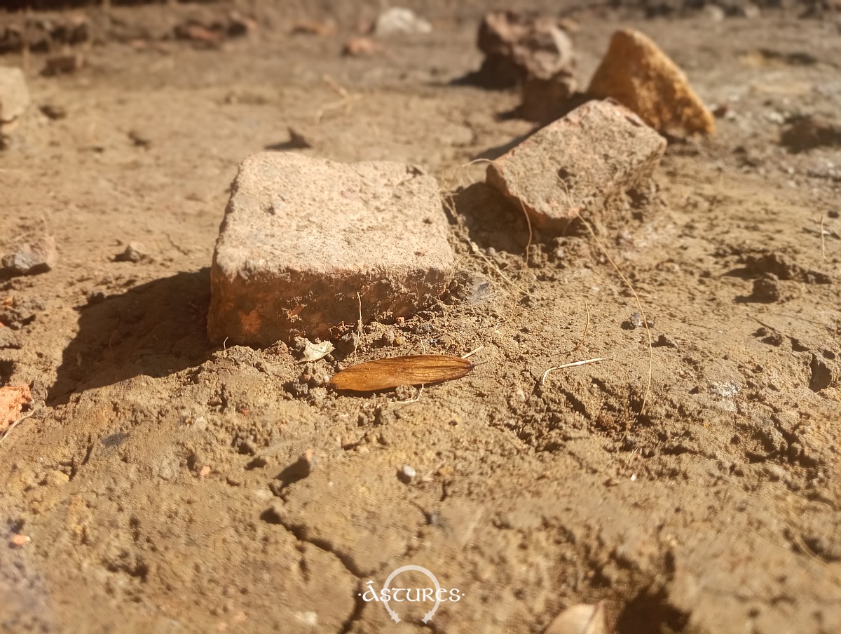 Fragmentos de suelo en una vivienda de Lucus Asturum. Excavaciones de 2023.