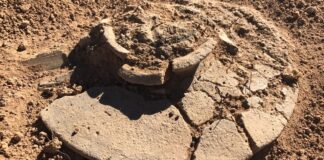 Cista funeraria procedente de una necrópolis del Vaso Campaniforme en los Monegos. Foto: Hugo Chautón, ACIAM