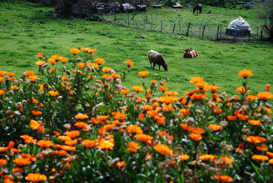 Una de los alrededores.
