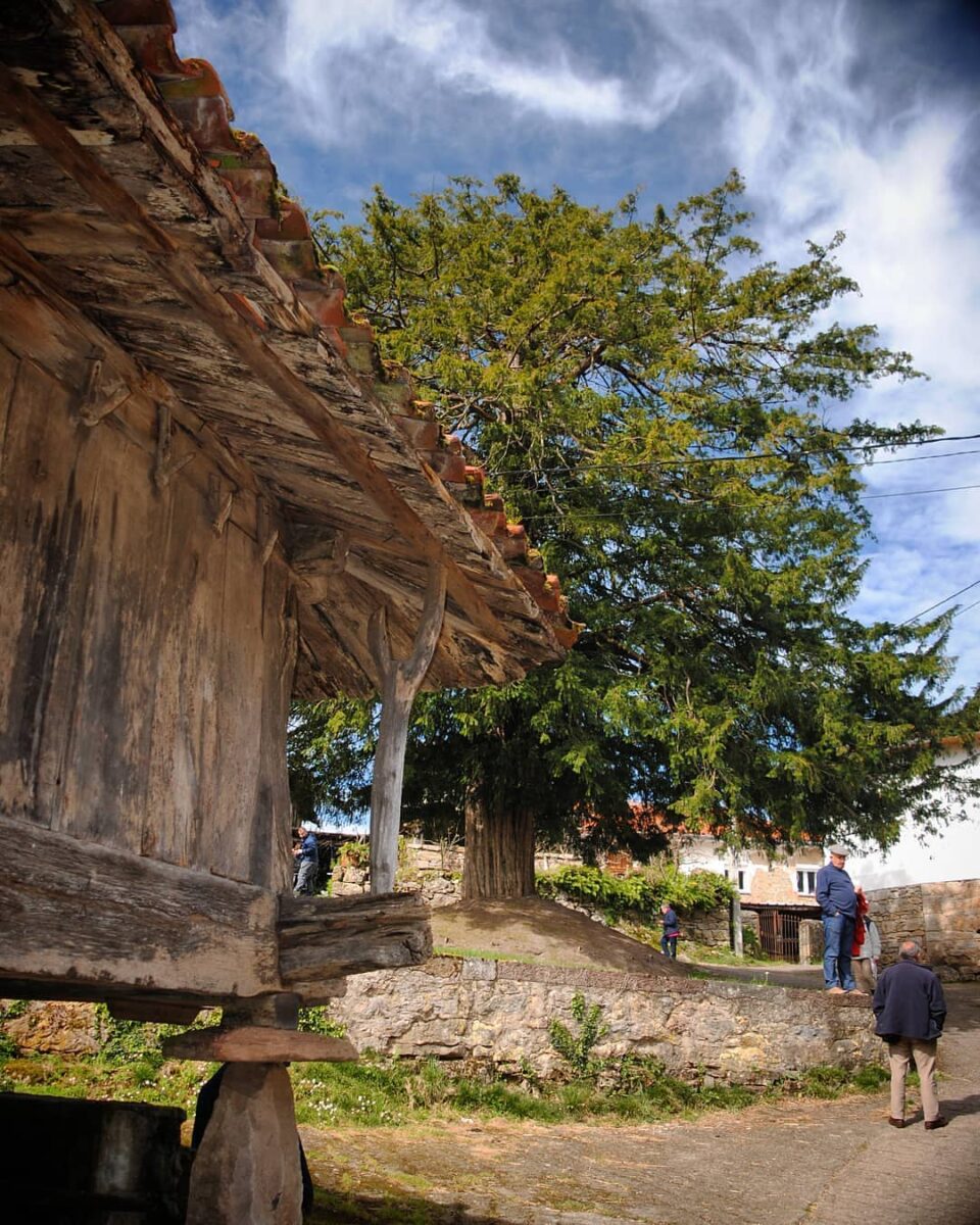Texu y horreo en Samartín de Ondes.