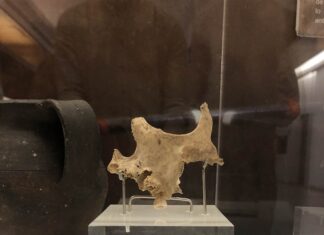 Mandíbula de uno de los individuos de la Peña Sobia en Teverga. Siglo II d.C.