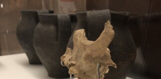 ¿Cuál era la esperanza de vida de los astures en la Edad del Hierro? Mandíbula de uno de los individuos de la Peña Sobia en Teverga. Siglo II d.C.
