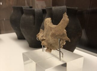Mandíbula de uno de los individuos de la Peña Sobia en Teverga. Siglo II d.C.