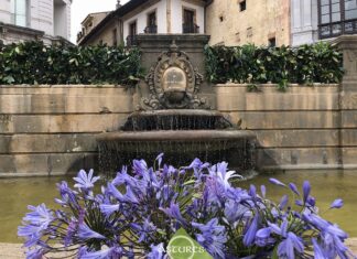 Enramado de la fuente de la catedral de Oviedo / Uviéu, San Juan 2025