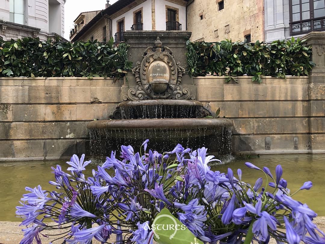 Enramado de la fuente de la catedral de Oviedo / Uviéu, San Juan 2025