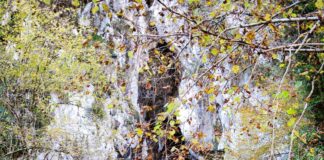 Cueva por la que discurre bajo tierra el arroyo Deva en la vega de Orandi, Cangas de Onís. Foto propia