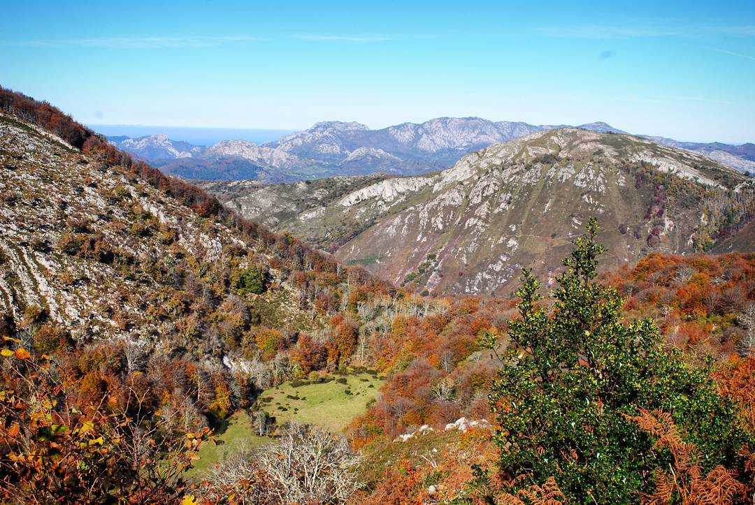 La vega de Orandi, en el Auseva. Foto propia