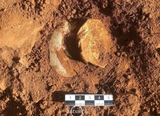 Documentando una pieza durante la limpieza de la zona arqueológica. Faro.