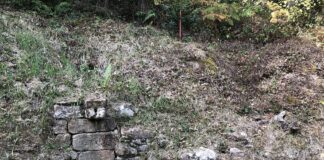 Fuente del Acebal, Abándames