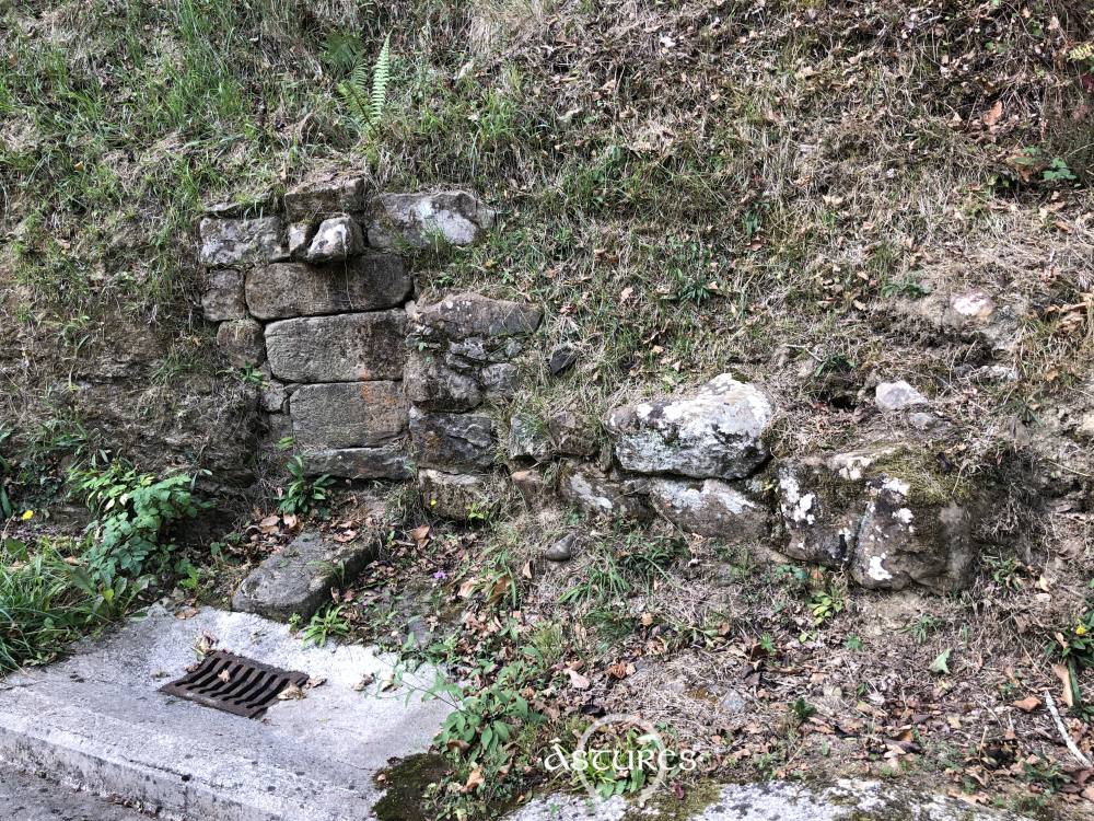 Fuente del Acebal, Abándames