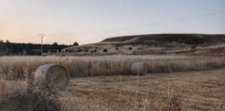 Los Castros. Asentamiento fortificado sobre una elevación en las inmediaciones del río Turienzo. Foto Ayuntamiento del Val de San Lorenzo.