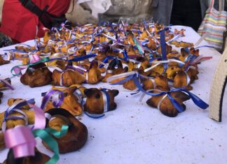 Les paxarines d’Uviéu / Oviedo. Un amuleto contra las tormentas Les paxarines de San Mateo, Oviedo / Uviéu. una tradición propia de la ciudad