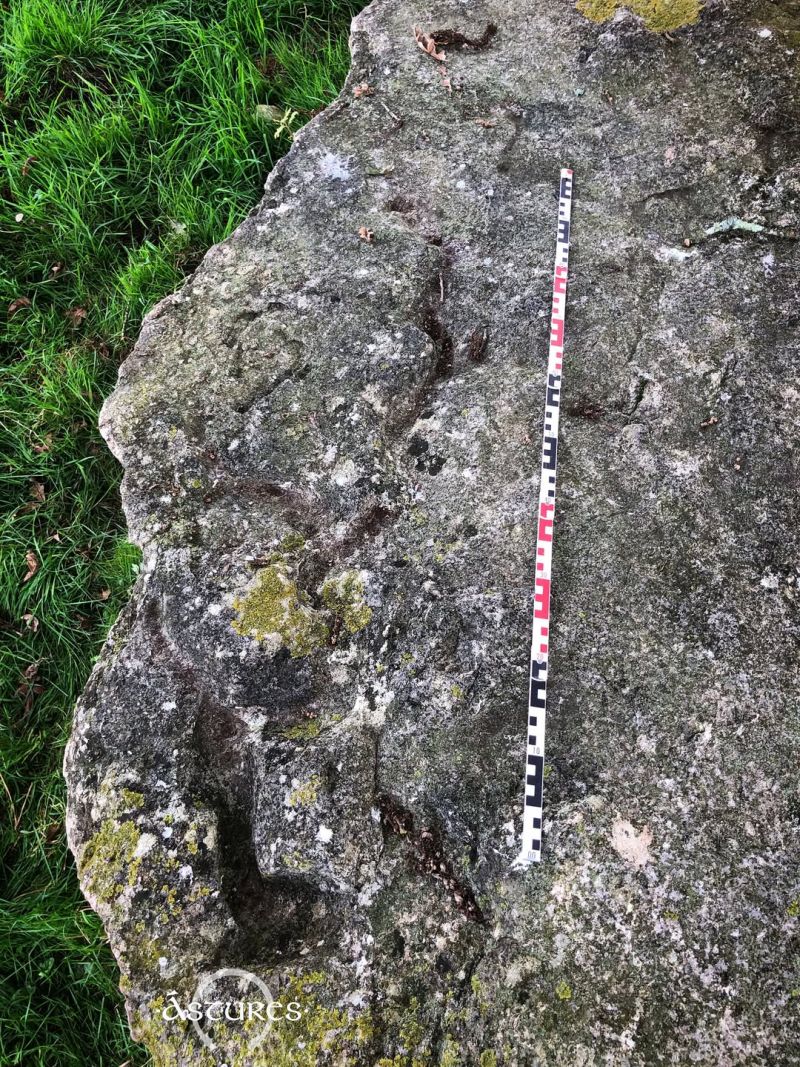 Posible serpentiforme y otros grabados en dolmen del oriente de Asturias.