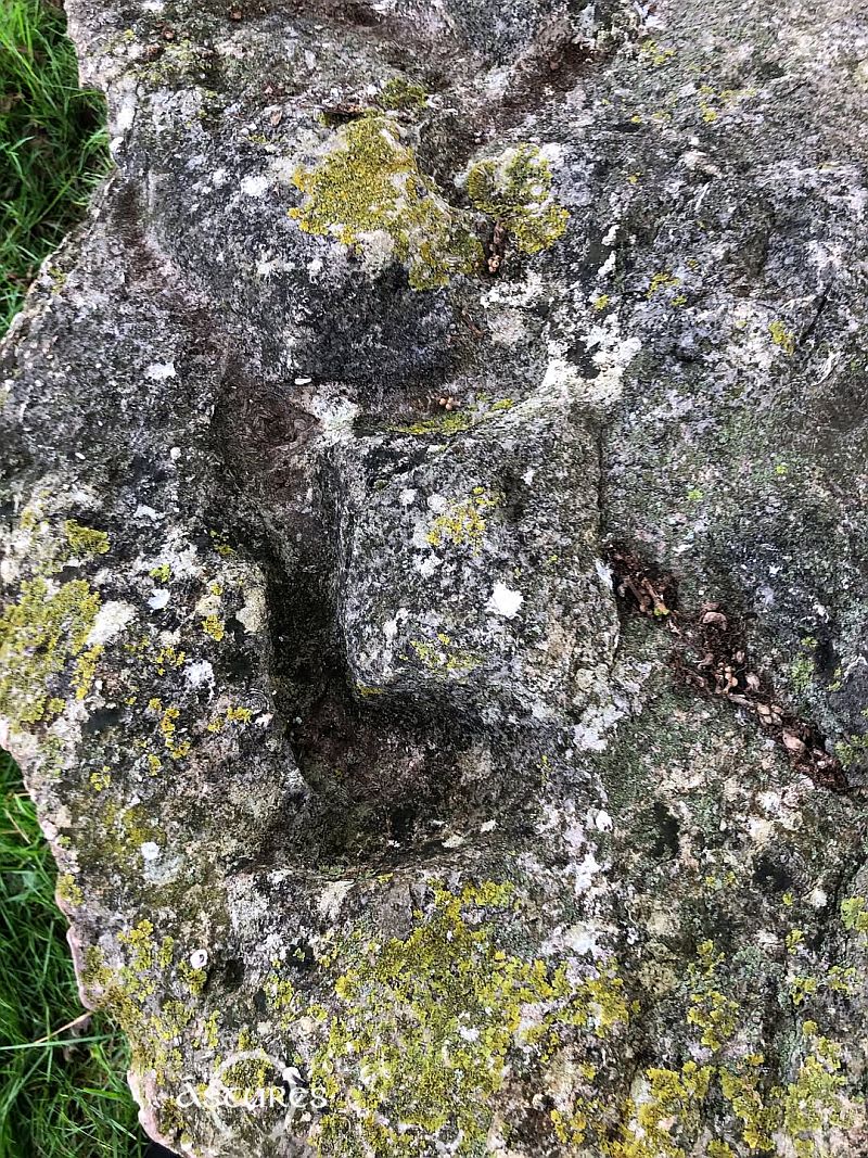 Posible serpentiforme y otros grabados en dolmen del oriente de Asturias.