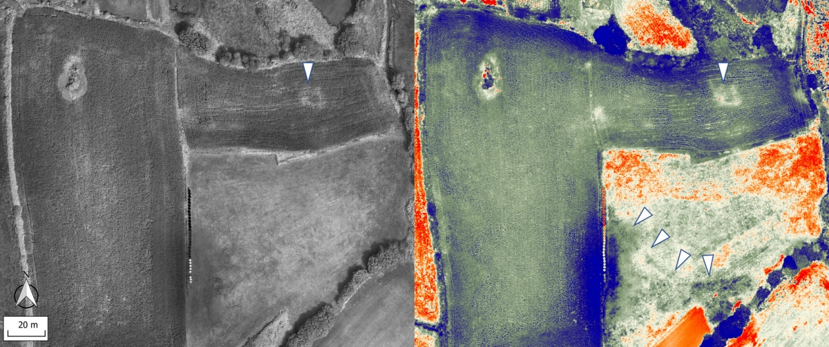 Montes Claros, noroeste. Imágenes obtenidas con drones: Banda de borde rojo (izquierda) e índice TTVI (derecha) que muestran algunas anomalías que podrían corresponder a estructuras enterradas. INCIPIT-CSIC.