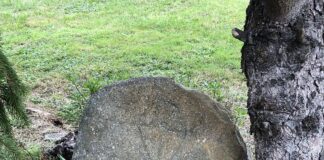 Estela procedente del centro-oriente de Asturias
