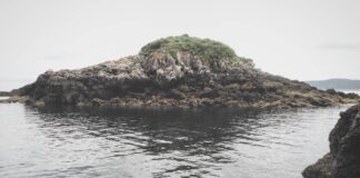 Islote de Entrellusa, Carreño.