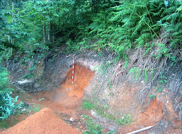 Lugar del hallazgo del tesoro de Cenero, Gijón. Foto en Fernando Gil Sendino y Otilia Requejo Pagés 