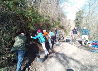Prensa: Hallado bajo una colina el segundo castillo más antiguo del Reino de Asturias Limpeiza estratigráfica en Tiós, Lena.Foto . A. Fanjul Peraza