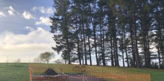 Excavación arqueológica en el castro de Monte Alto, Oviedo. Proyecto Orígenes.