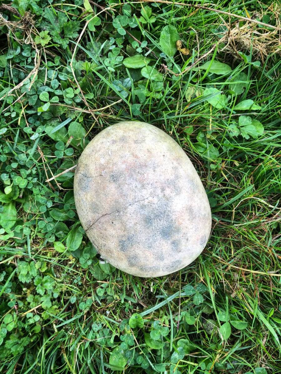 Canto pintado de tipo aziliense procedente de El Trabe. Asturias.