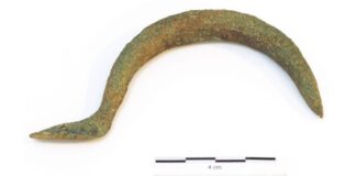 Fíbula de arco de Chanu la Chalga. Foto Vindonnus