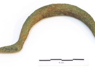 Artículo: Una historia (diferente) de la alta montaña asturiana Fíbula de arco de Chanu la Chalga. Foto Vindonnus