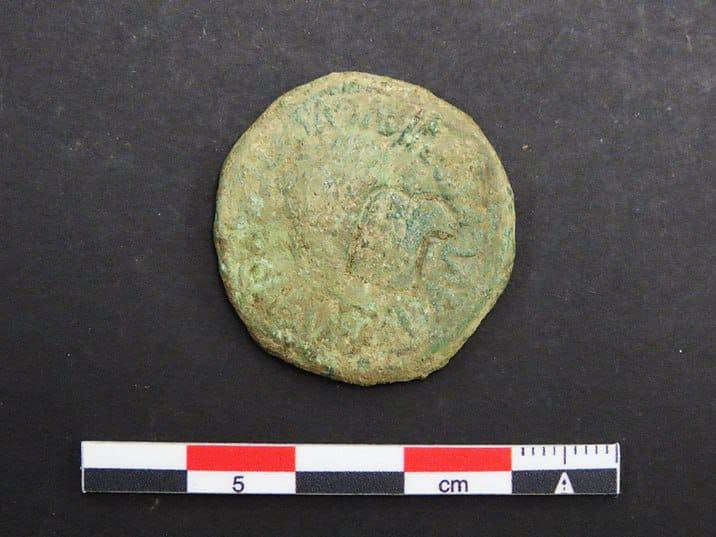 As de Tiberio acuñado en Calagurris, con resello de cabeza de Águila. Campa Torres. Foto de Museos Arqueológicos de Gijón / Xixón