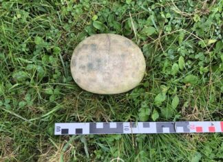 Canto pintado de tipo aziliense procedente de El Trabe. Asturias.