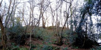 Curucho de Reconcos. Foto Fanjul Peraza