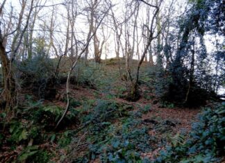 Curucho de Reconcos. Foto Fanjul Peraza