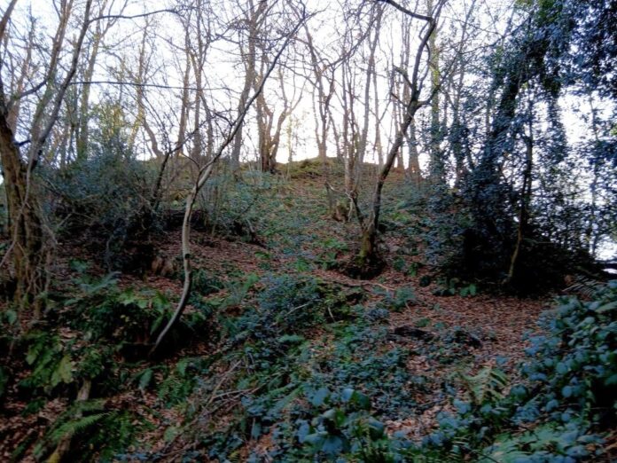 Curucho de Reconcos. Foto Fanjul Peraza Curucho de Reconcos. Foto Fanjul Peraza