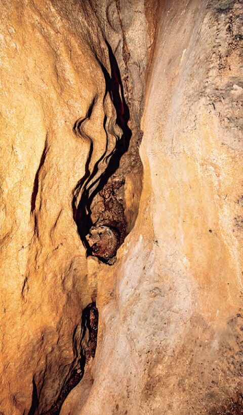 Hornacina y cráneo. Foto de los autores.