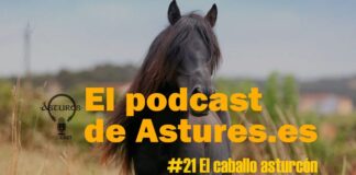 Episodio 21 del pódcast de astures.es - Asturcones
