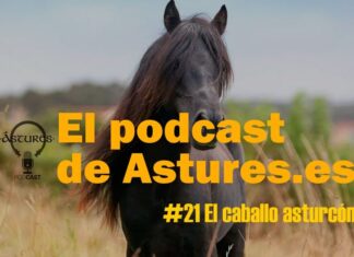 Episodio 21 del pódcast de astures.es - Asturcones