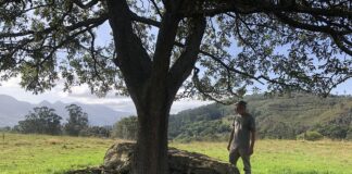 Dolmen en Bojes. Ribadedeva.