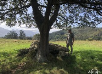 Publicaciones: El canto pintado de Bojes, Ribadedeva; en Cuadernos de Arqueología de la Universidad de Navarra Dolmen en Bojes. Ribadedeva.