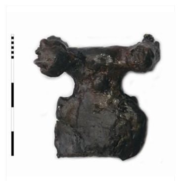 Contera del castro de Pendia. Boal. Museo Arqueológico de Asturias