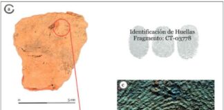 Leyendo el barro en la arquitectura castreña de los astures. Nuevas investigaciones en la Campa Torres Detalle de huellas dactilares en el barro de luna construcción de la Edad del Hierro en la Campa Torres. Fotografías: Elena Lastra Alonso