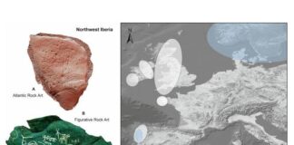 Mapa que distingue distintas zonas de arte esquemático de la Edad del Bronce en la costa atlántica. Se echan en falta ejemplos de otras zonas como en el Cantábrico. Autores. Marta Díaz Guardamino et al.