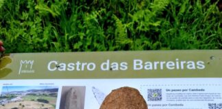 Una de las estelas descubiertas en el castro de As Barreiras. A Coruña. Foto. Manuel Gago