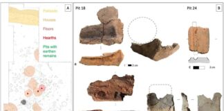 Evidencias de construcción en barro entre el Bronce final y primera Edad del Hierro en el castro de Sacaojos, León. Fotos de las autoras.