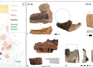 Evidencias de construcción en barro entre el Bronce final y primera Edad del Hierro en el castro de Sacaojos, León. Fotos de las autoras.
